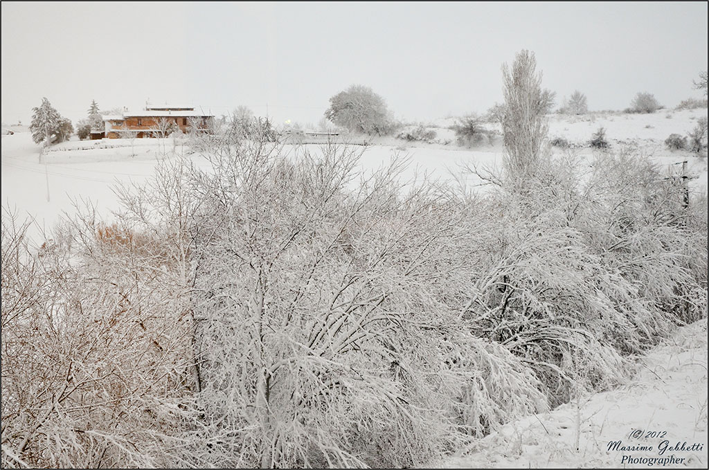 Into the White