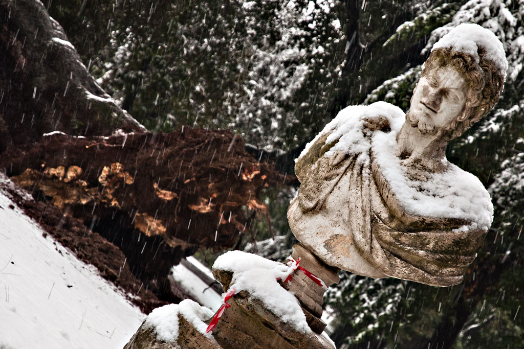 Borghesia senza radici