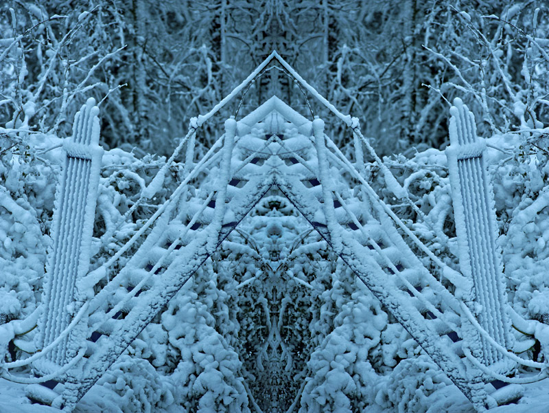 Il parco incantato sotto la neve