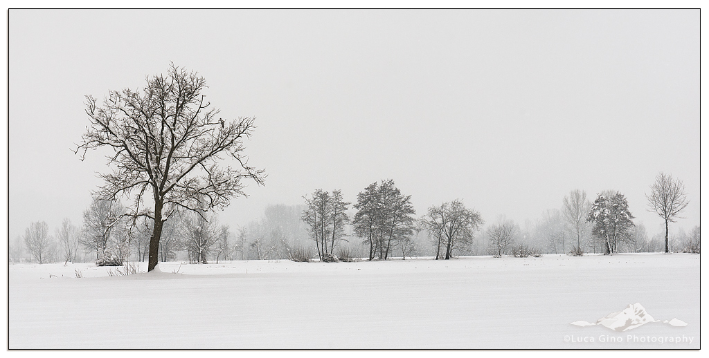 Winter on the plains II