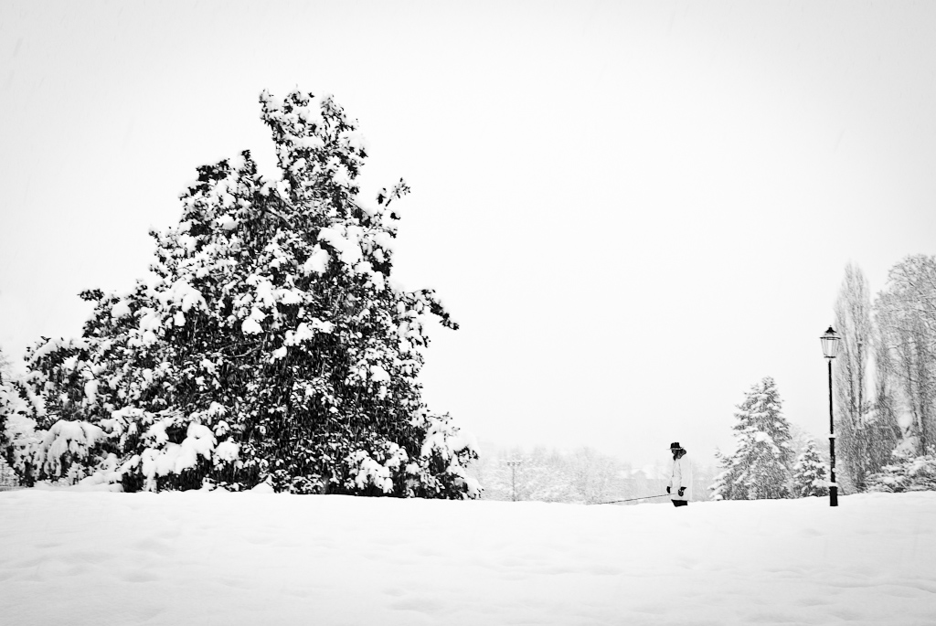 Torino e la neve