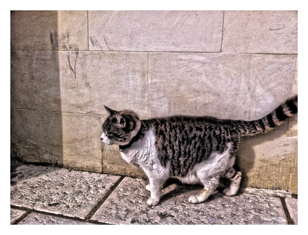 passeggiando per lecce vecchio