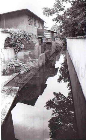 inzago rogia crosina