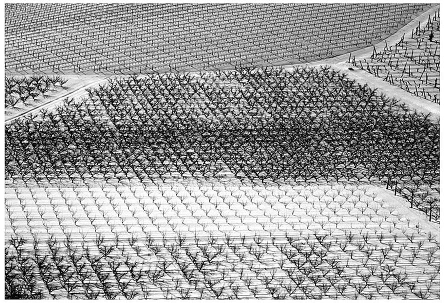 filari..."insiemi"...