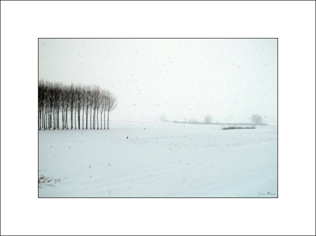 La neve "nella Bassa"