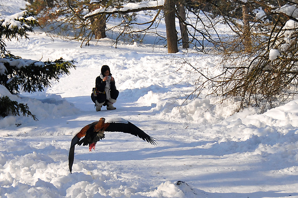 Fammi un primo piano