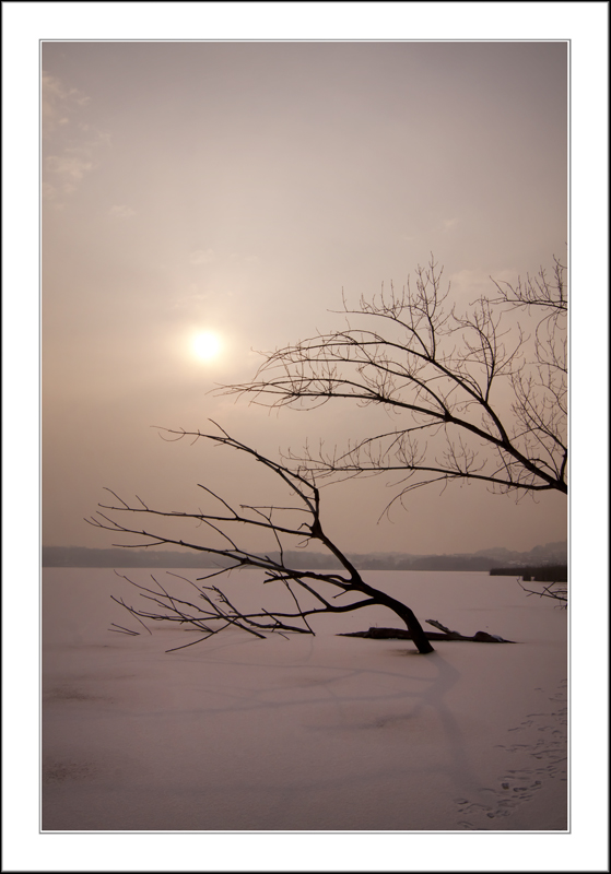 il gelo penetra nell'anima... ma presto l'astro riscalder� i cuori....