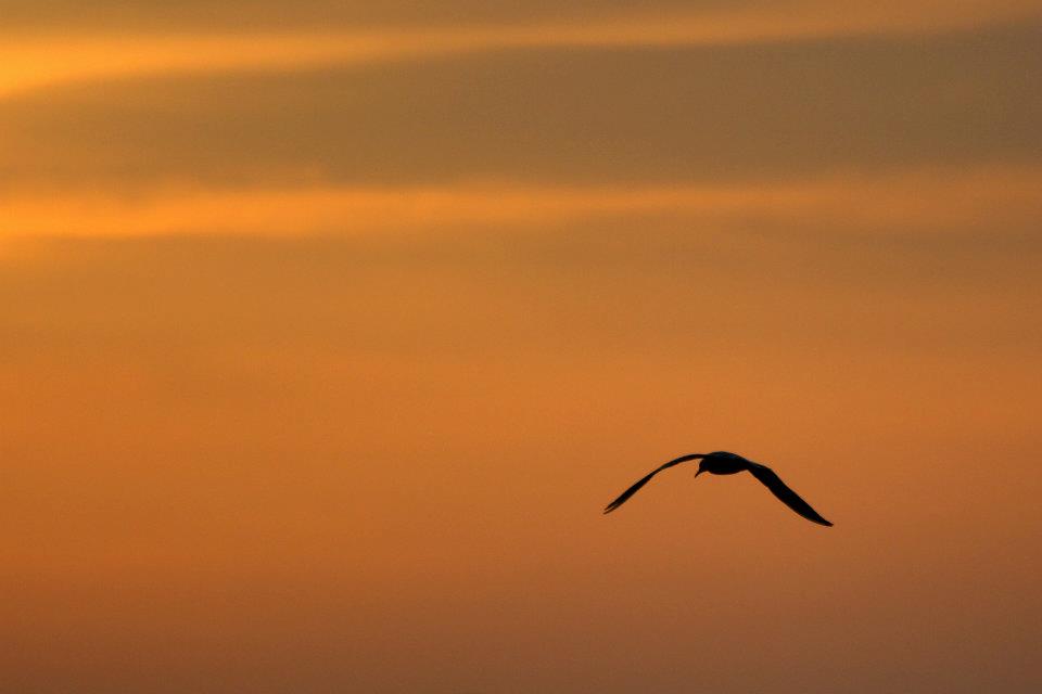 verso il tramonto e oltre :)