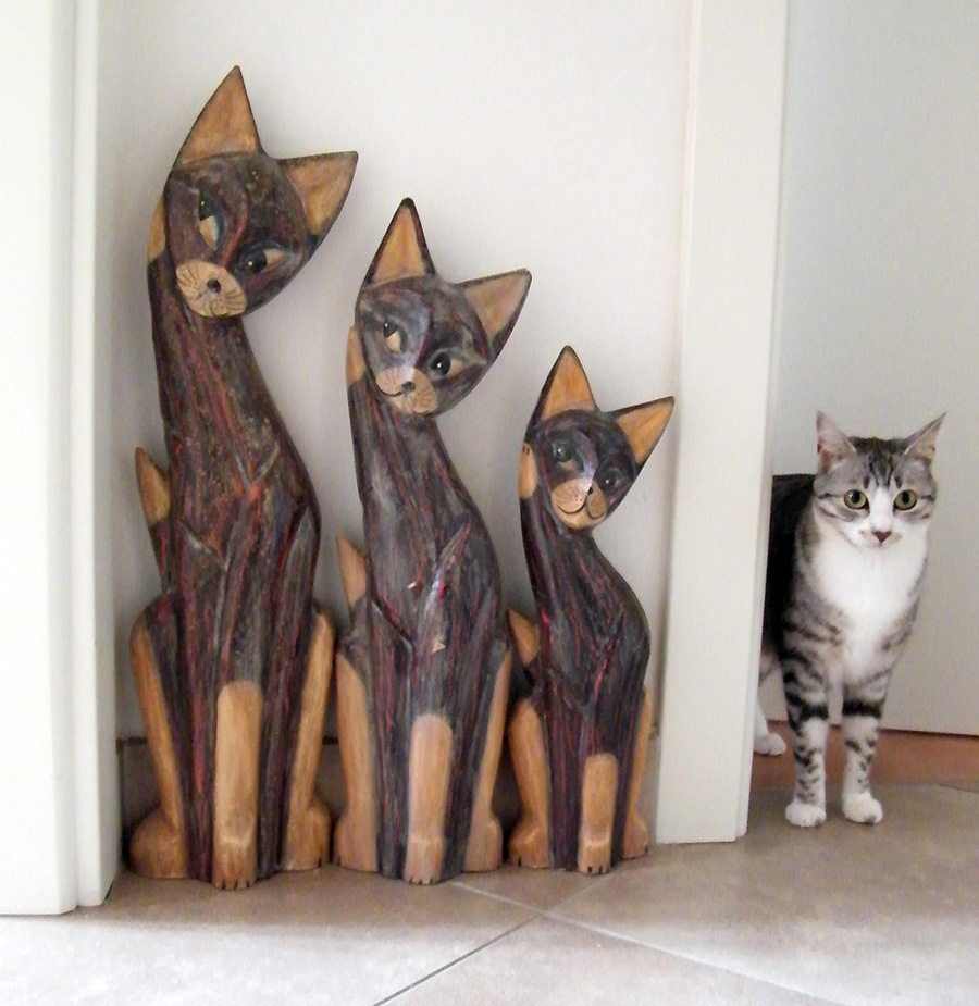 io ho fatto! avanti il prossimo...