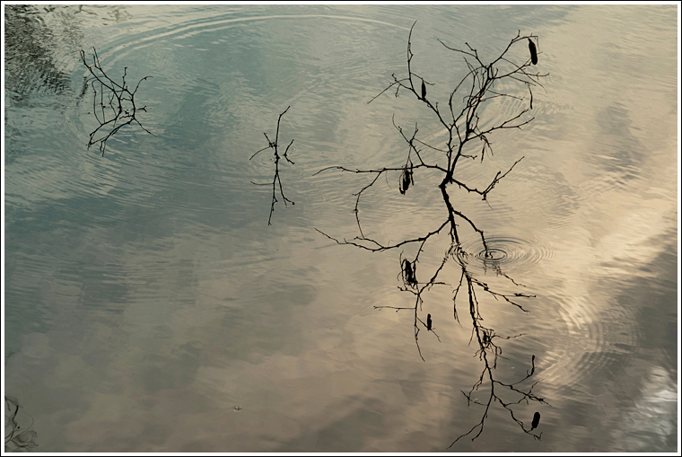 Attraverso il riflesso...