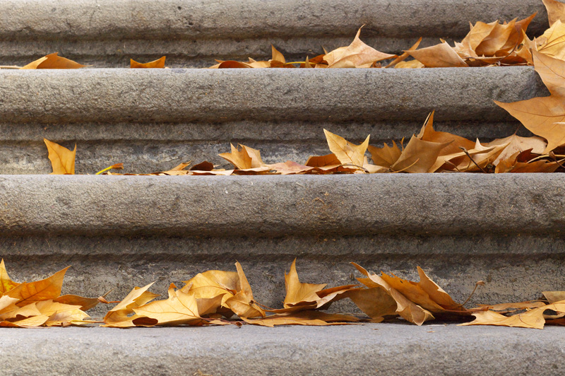 Orto Botanico Napoli III