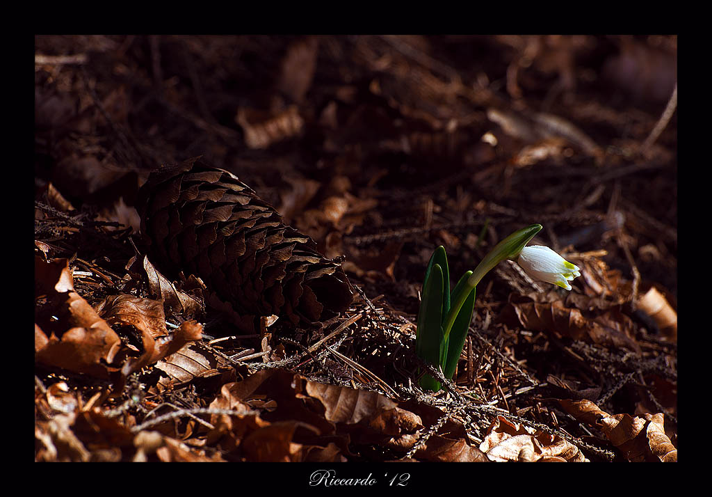 Sospiro di primavera