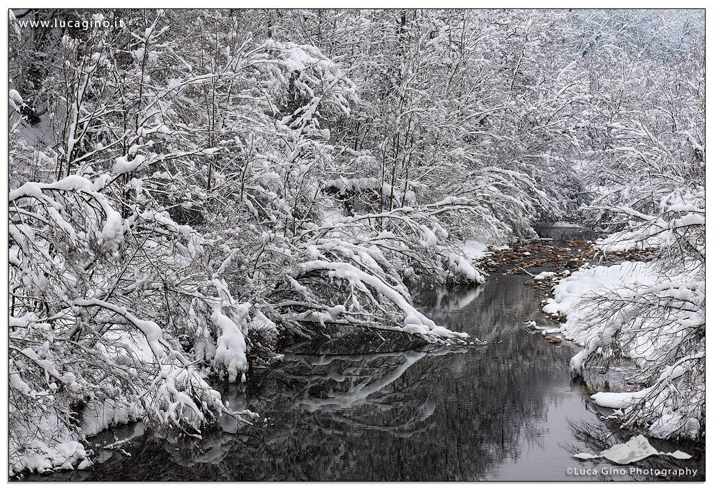 Winter river