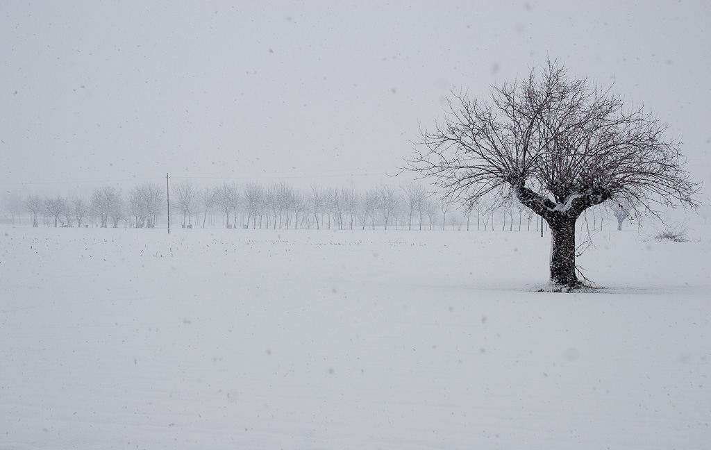 sotto la neve
