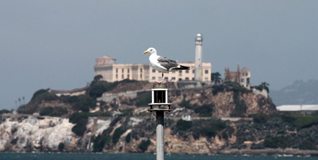 Le ali della libert�