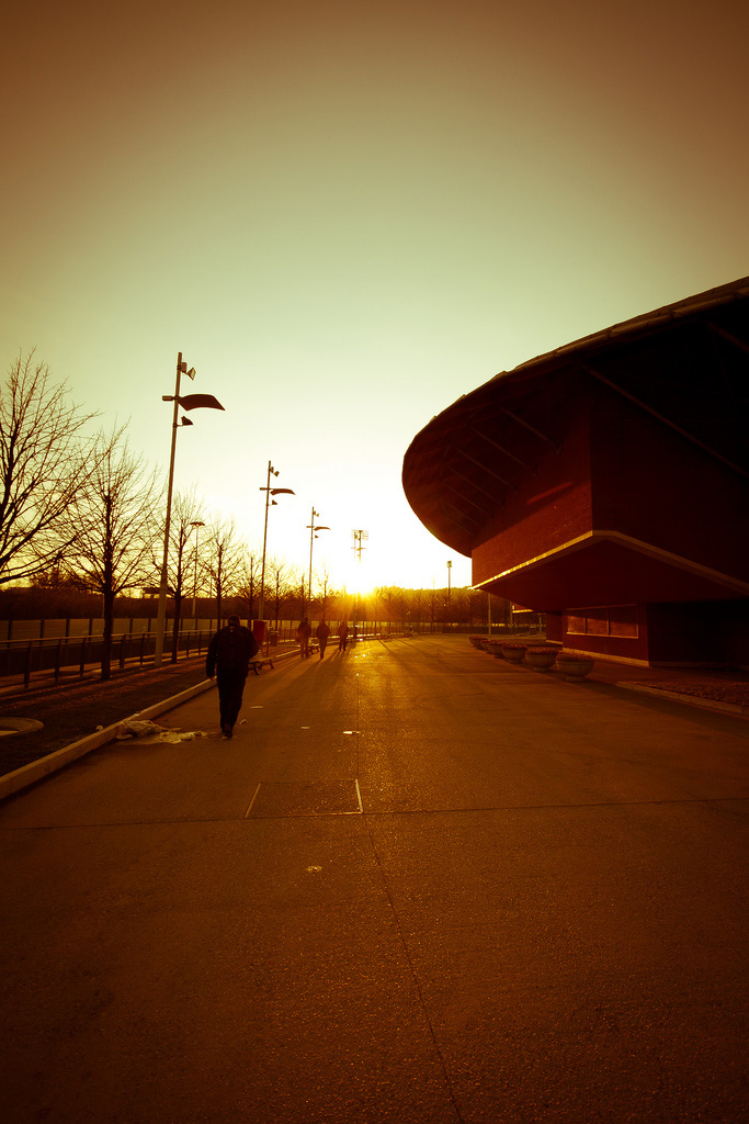 Il viale del tramonto