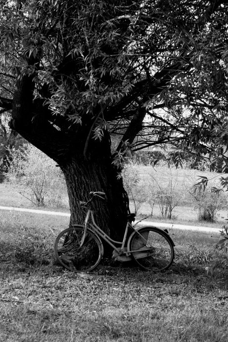 passeggiando al parco