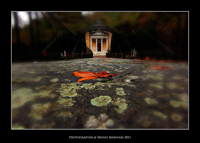 La fogllie e la Pagoda