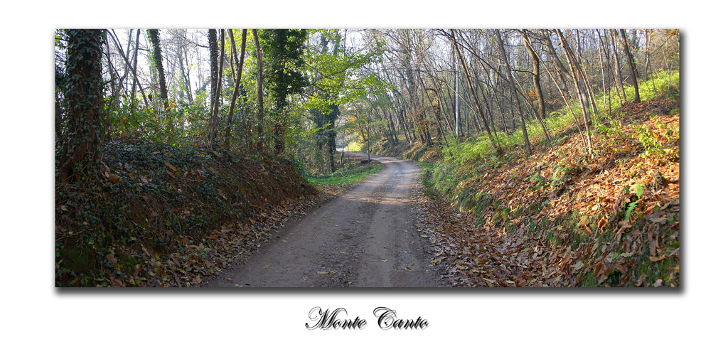Monte canto 1