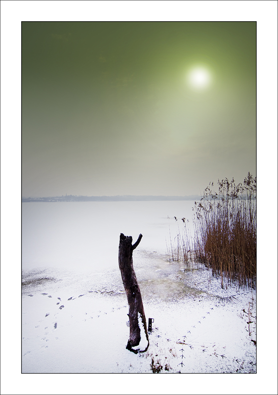 zampette sul ghiaccio