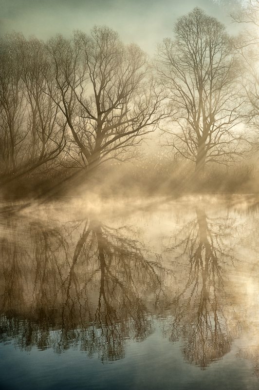 Sella riva dell'Adda