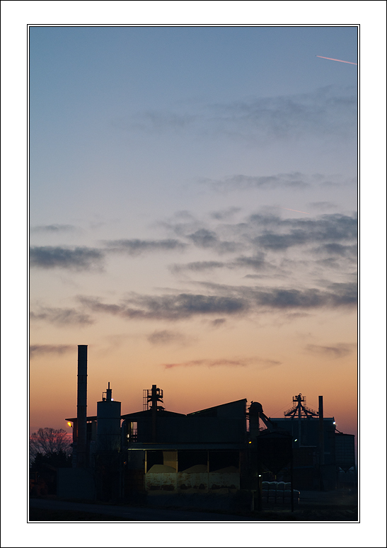 Animals....a modo mio.....