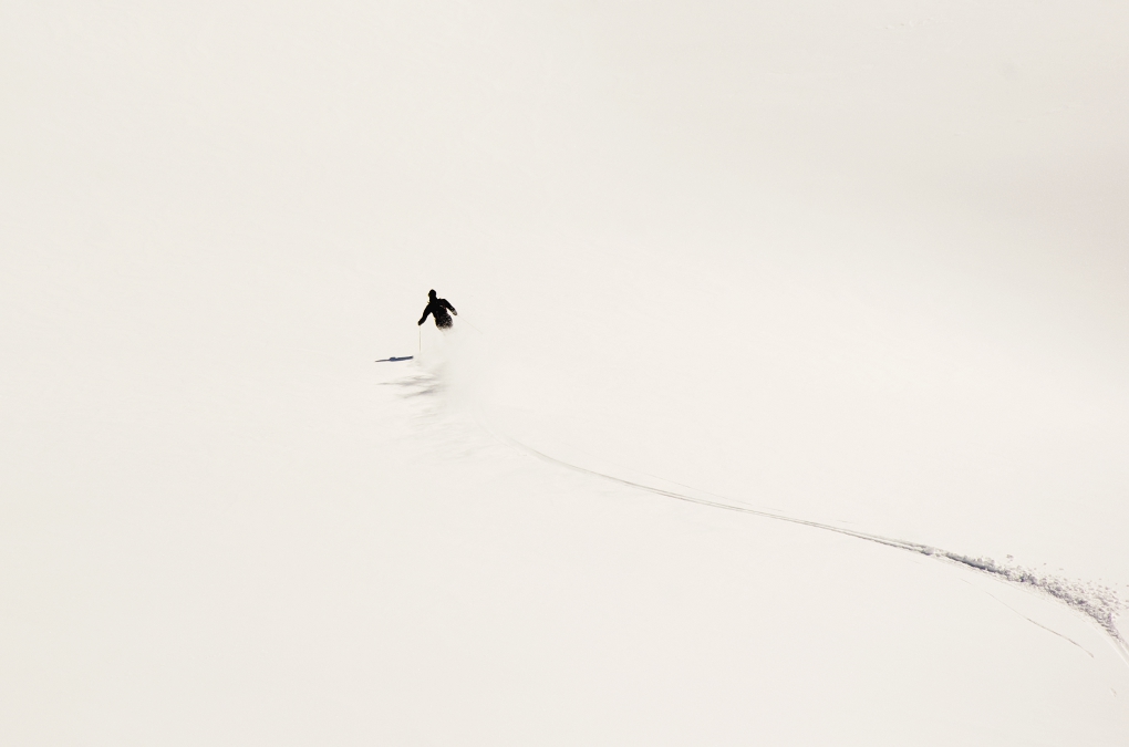 A ognuno il proprio pennello