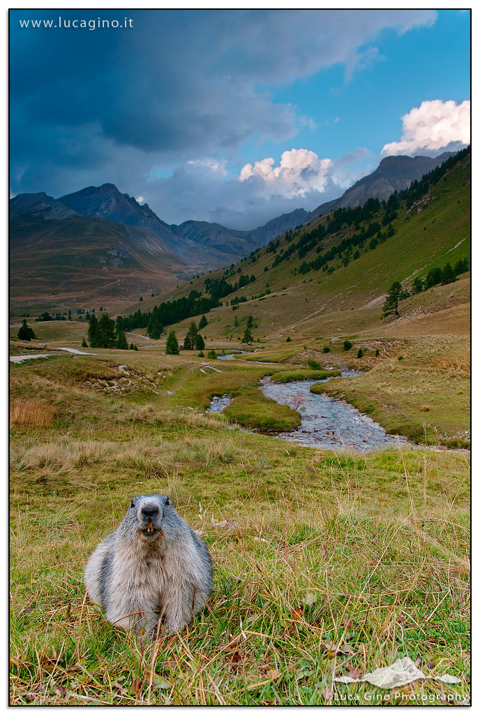 Ti tengo d'occhio ...