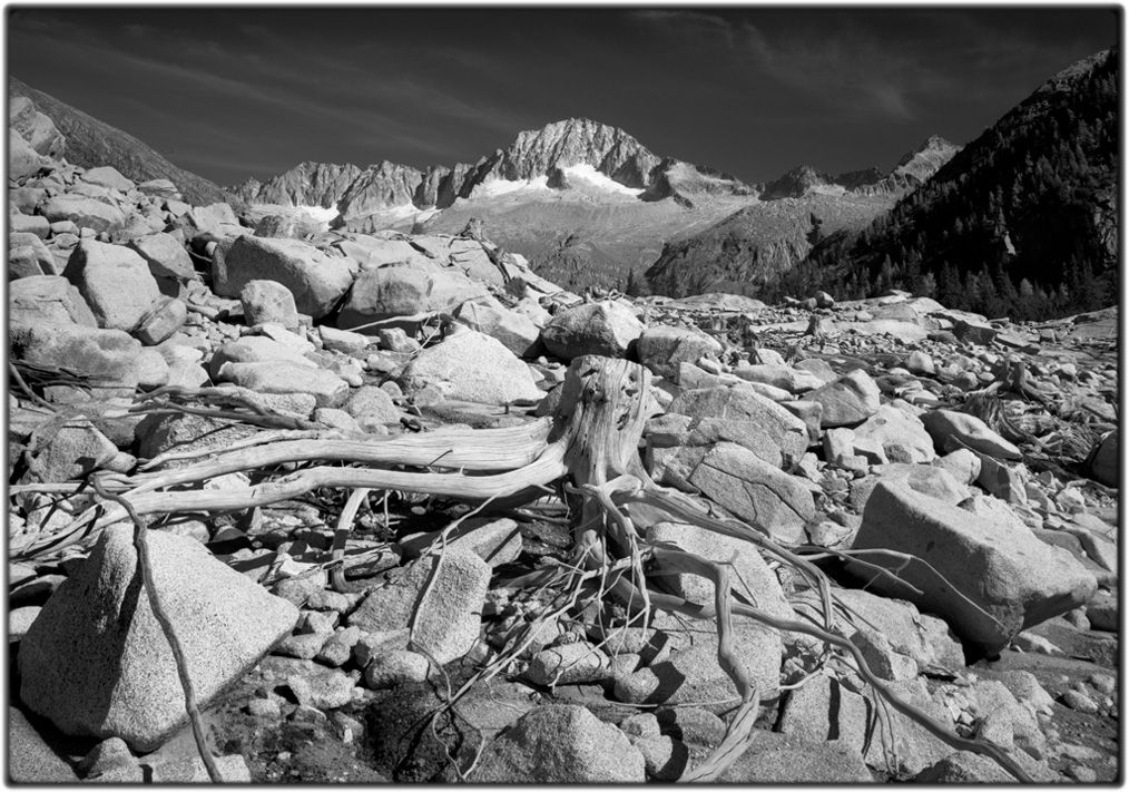 val di fumo, legno nel tempo
