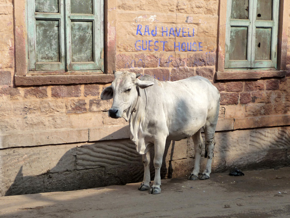 Una confortevole Guest House