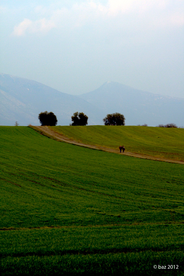 soli nel destino umano