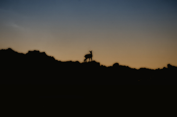 Bienvenue dans le monde petite cr�ature...