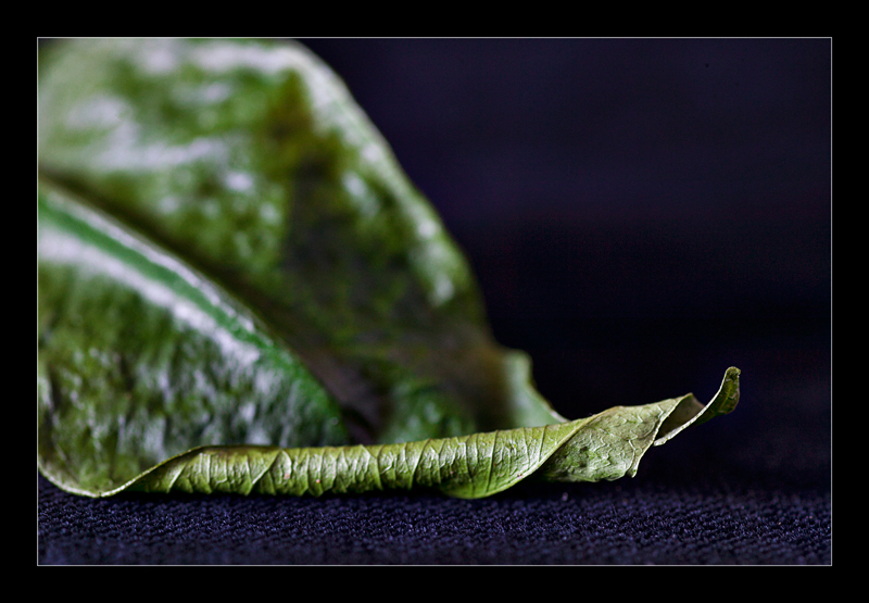 Still life ad alto contrasto