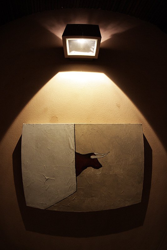 Un giro tra tori e aquiloni