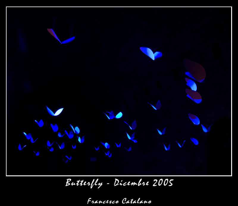 Sit Lux, et fuit lux - #1