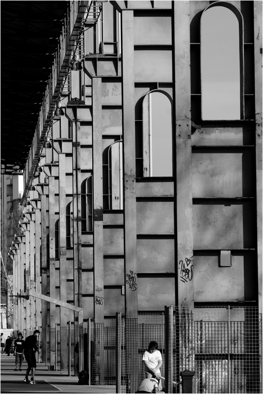 colonne al parco Dora Torino