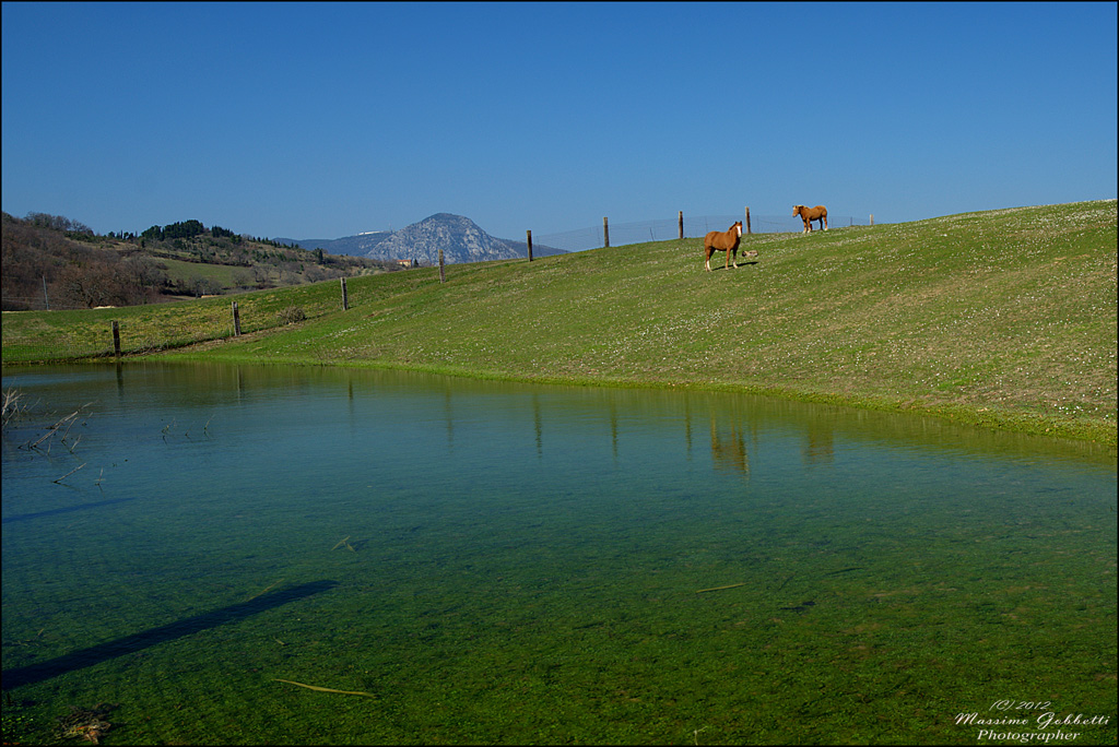 Pace e armonia nella natura