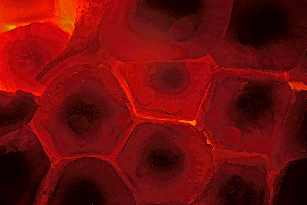 Dentro il melograno (2079)