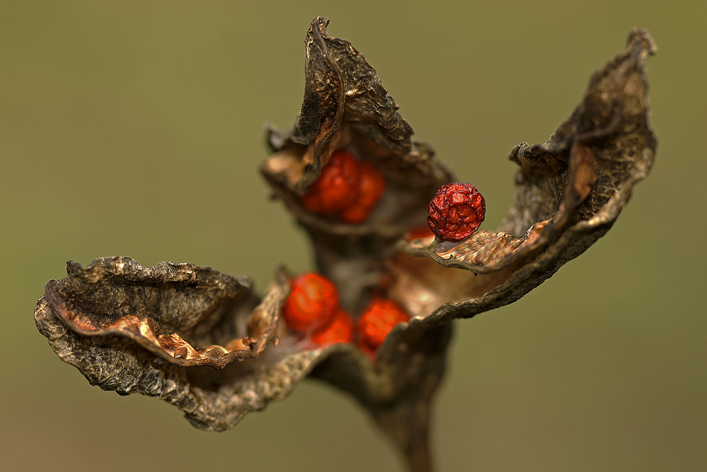 f5.6... ( file1903 )