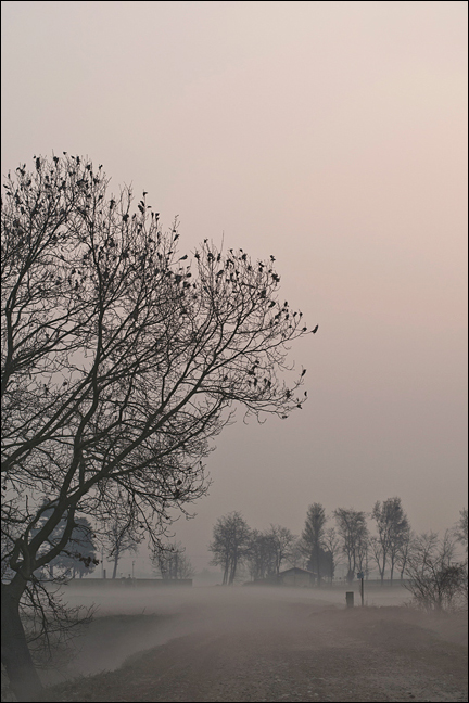 Il respiro dei campi