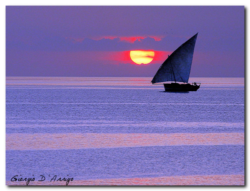 Zanzibar purple sunset