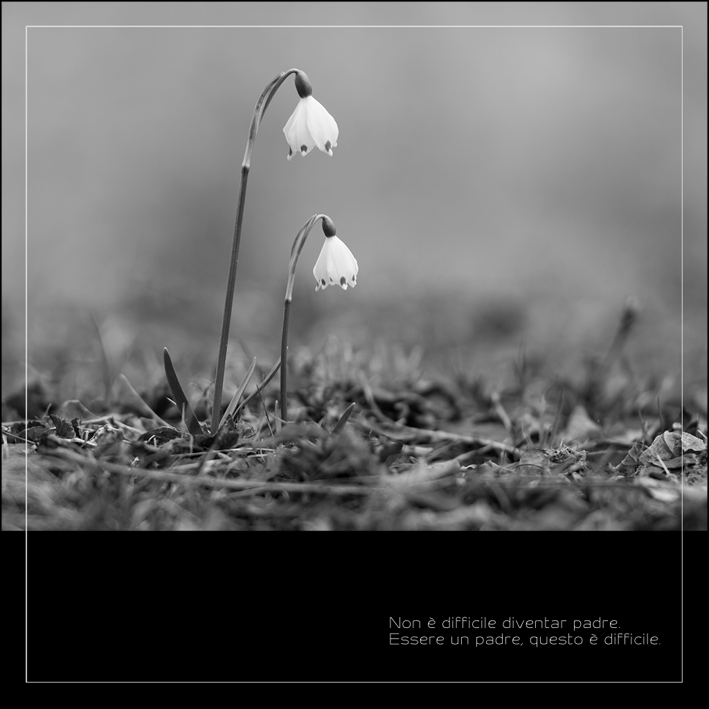 Non � difficile diventar padre. Essere un padre, questo � difficile.