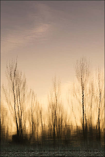 Bruciando nell'ultimo riflesso