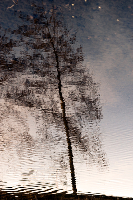 ...pi� verso la notte