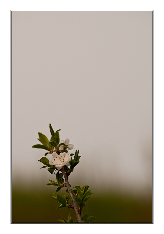 Finalmente Primavera!!