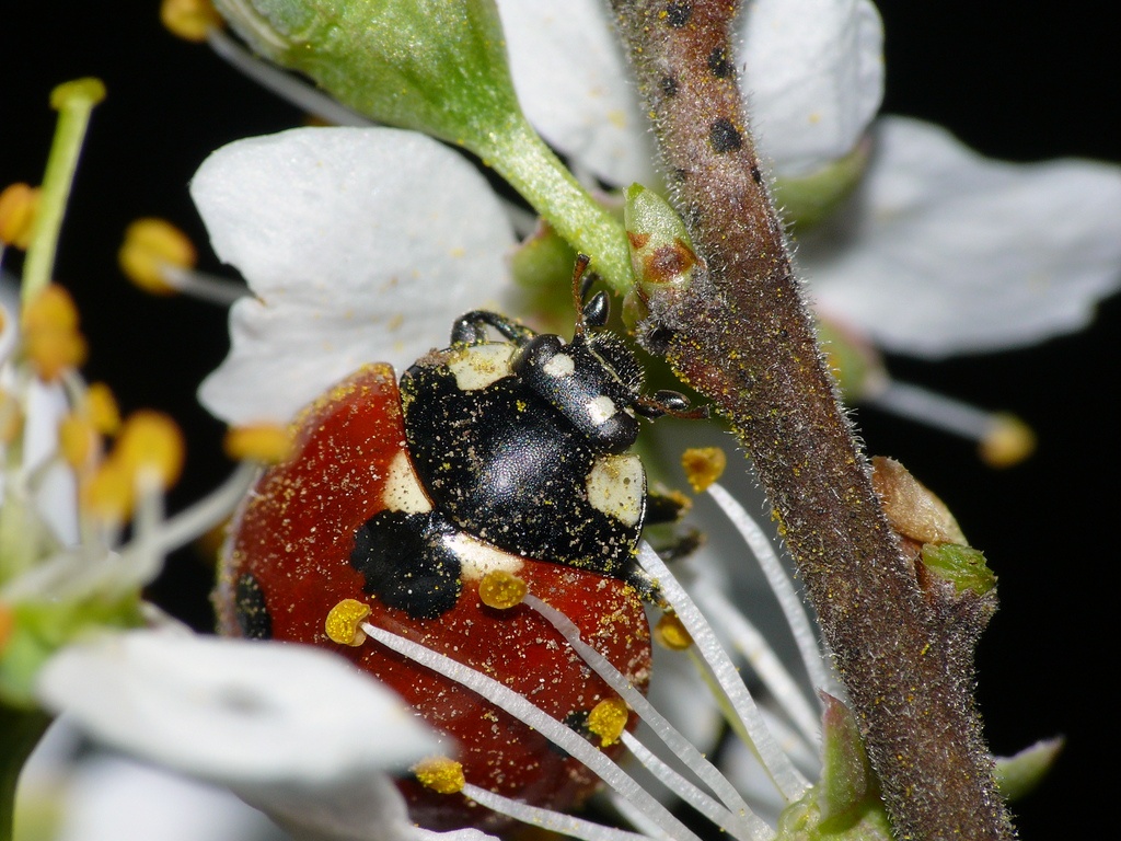 MI IMPOLLINO TUTTA !!!! :)
