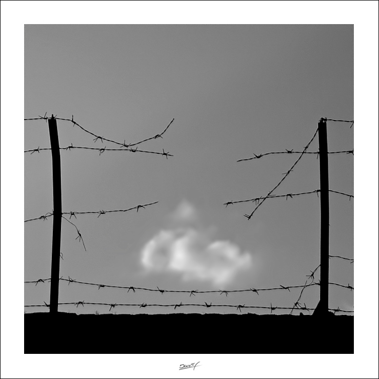 ... e oltre, la libert�!