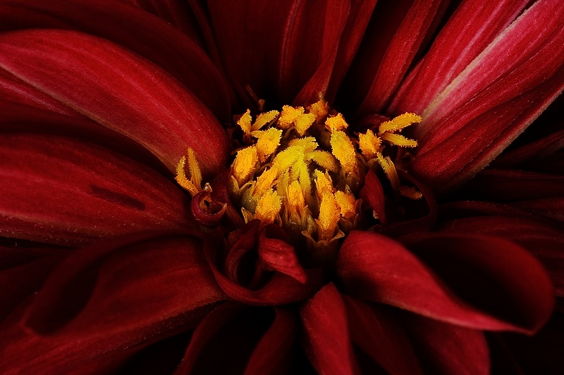 Profondo giallorosso ...