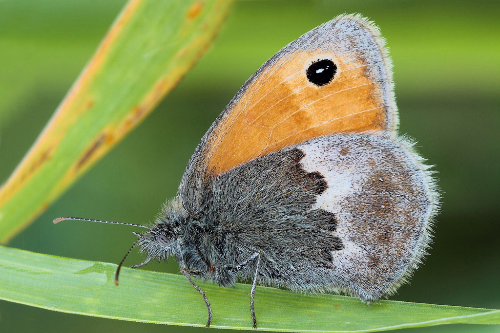 ...La Mia Prima Volta...!!!