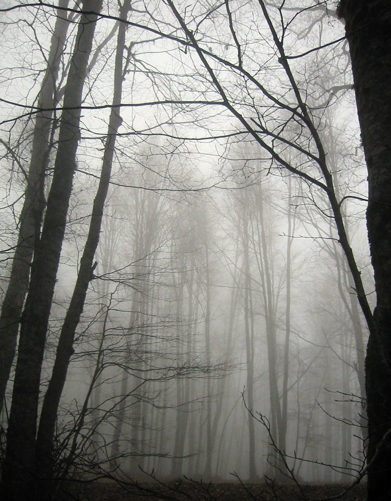 Perso fra la quinte.